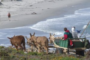 Die Donkiestap Roete