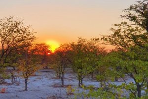 Etosha Etosha